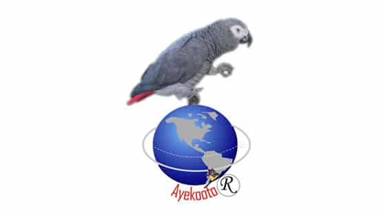 Parrot FM